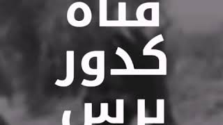 عبدالكريم باشافعي_مغبووون_يشتكي من باطل انقطاع الكهرباء في شبوه