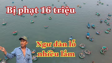 Khám phá làng chài Phan Rí Cửa rất đẹp nhưng nhiều tàu cá không muốn ra khơi vì thua lỗ quá