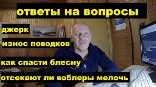 видео: Ответы на вопросы. Износ поводков. Как найти потерянную блесну.  Джерк. Отсекают ли воблеры мелочь. картинка: Ответы на вопросы. Износ поводков. Как найти потерянную блесну.  Джерк. Отсекают ли воблеры мелочь.