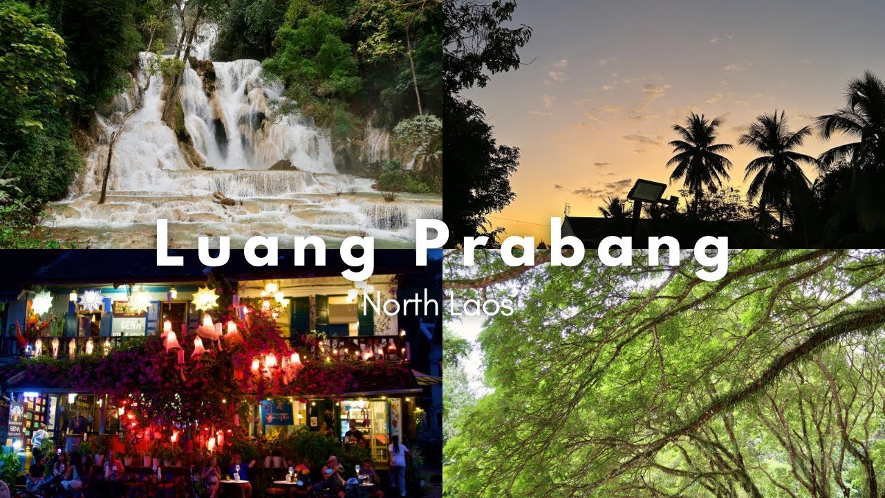 Luang Prabang - Waterfalls, Obama Coconut, Bear Sanctuary & Night Markets