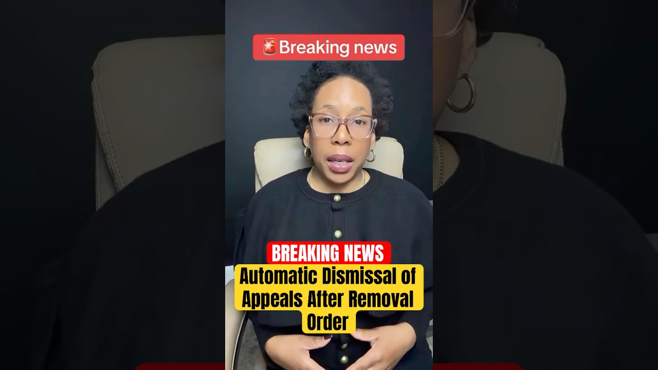 Срочные новости: автоматическое отклонение апелляций после вынесения решения о депортации.