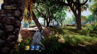 Assassin's Creed Origins - Tactical Stealth Espionage