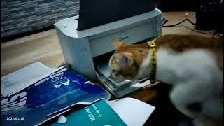 15 Januari 2021 nak Ninang & printer