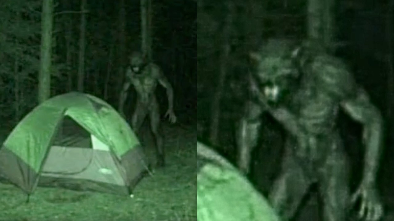 His Last Trail Camera Upload Showed a DOGMAN Standing 10 Feet From His Tent — He Was Never Found