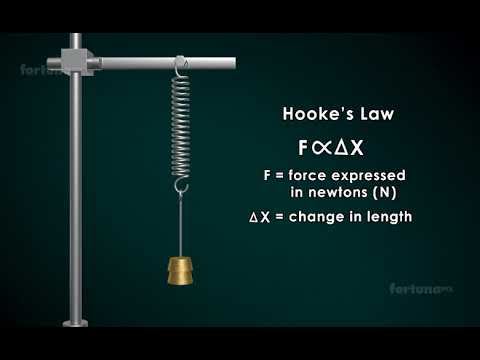 Video: ¿Qué es la ley de Hooke BBC Bitesize?