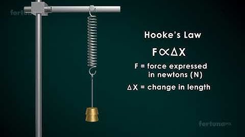 Physics - Grade 8 & 9 IG - Week 11 -  Hooke
