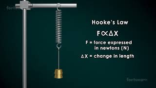 Physics - Grade 8 & 9 IG - Week 11 -  Hooke's Law