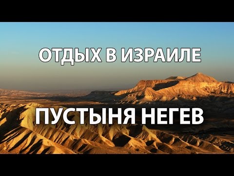 Пустыня Негев. #отдыхвизраиле