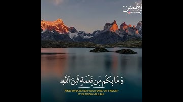 تلاوة خاشعة ... (وقال الله لا تتخذوا الهين اثنين...)