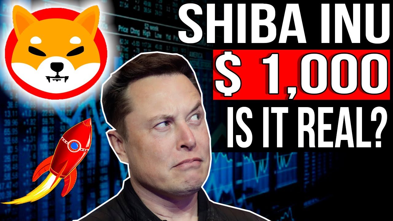 Elon Musk Says Why Shiba Inu Will Make You Rich I Shiba Inu Price