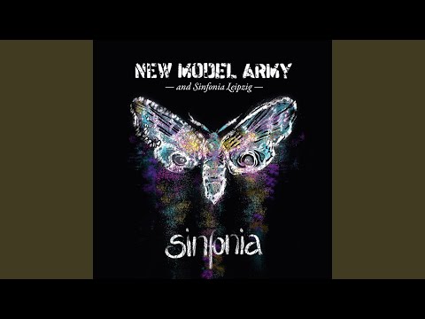 Putar Wonderful Way to Go (Orchestral Version) - New Model Army