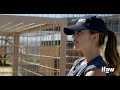 Minka & Clarence: The Truth About White Tigers