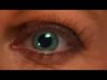Giant chevrolet  maximus media  movie trailer