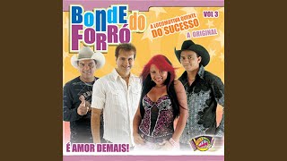 Video thumbnail of "Bonde do Forró - Na Hora H"