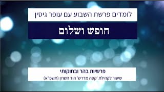 חופש ושלום | פרשיות בהר ובחוקותי | עופר גיסין