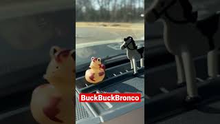 Buck Buck Bronco! We Got Bucked!