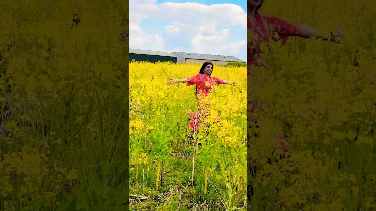 പാടം പൂത്ത കാലം... 