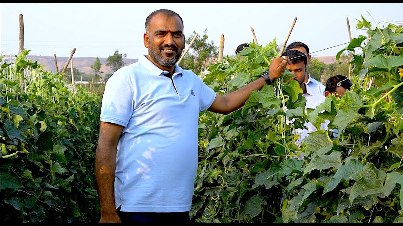 SCTवैदीक- वापरण्यापुर्वी इतरांचे  सल्ले ऐकावे की शेतकर्यांनी स्वताच्या अनुभवातून ठरवावे ⁉️