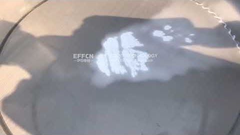 Ultrasonic Sieves & Screeners With Vibrasonic De-blinding