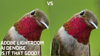 Is Adobe Lightroom AI Denoise Noise Reduction That Good A Review   4K