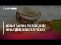 Новый закон о пчеловодстве начал действовать в России. Новости. 01/07/2021