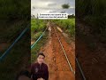 Tractor entierra tubería mientras abre surco en el campo #agricultura #maquinaria