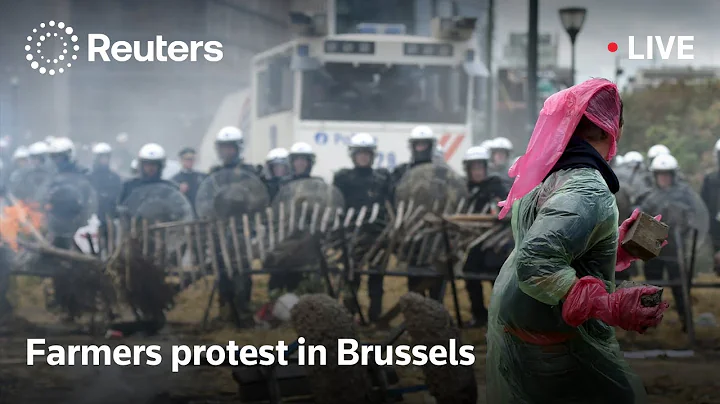 LIVE: European farmers hold large-scale protest in Brussels