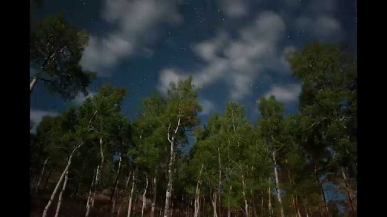 Aspen and Stars Timelapse