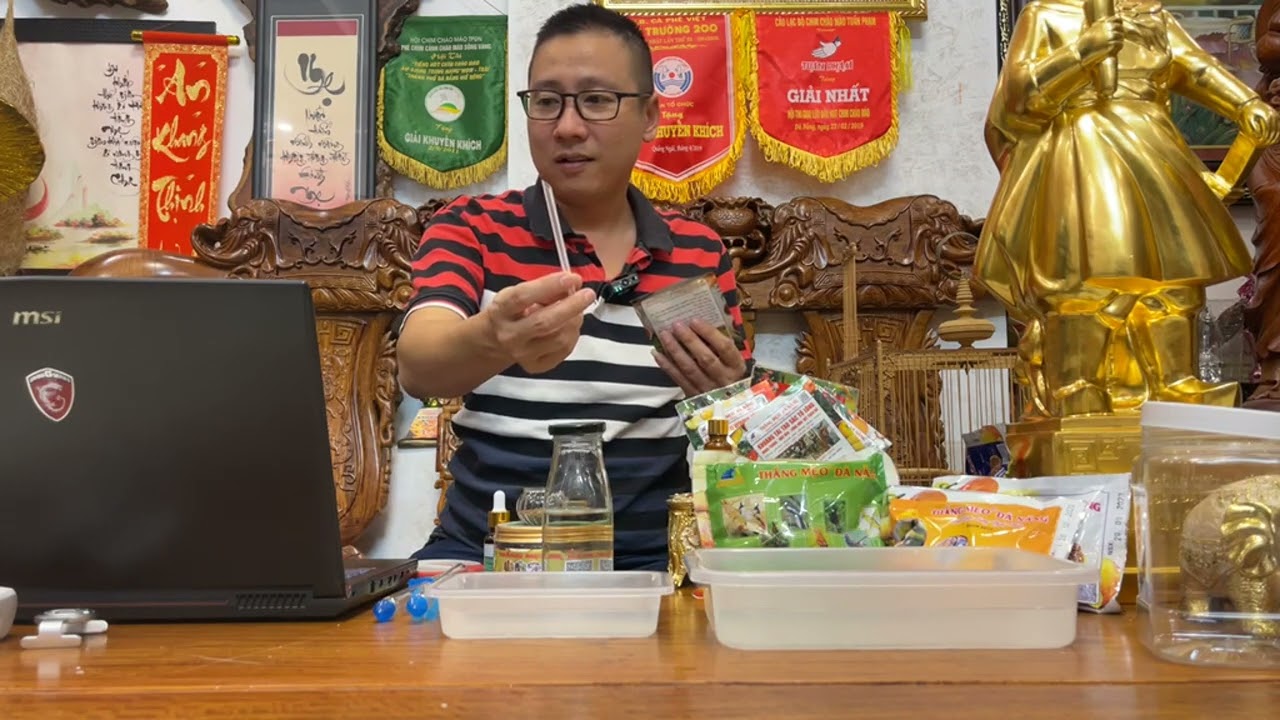 Thắng Mẹo Hướng dẫn sử dụng chăm chim để giữ Lửa tốt như thế nào