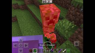 Playing on my friends smp