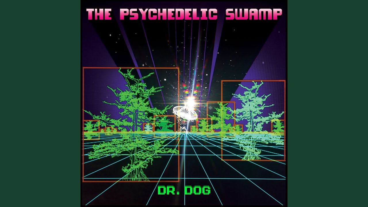 dr dog bring my baby back dr dog bring my baby back