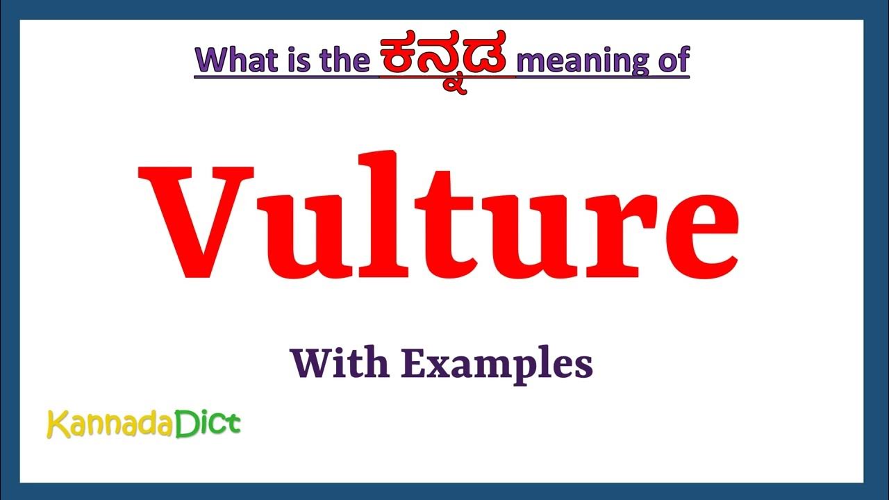 Vulture Meaning in Kannada Vulture in Kannada Vulture in Kannada