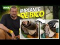 IMPLANTE DE BICO EM UMA ARARA! | RICHARD RASMUSSEN