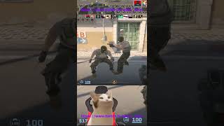 Тимейты в мм - это #twitch #shorts #stream #csgo  #cs2 #counterstrike #counterstrike2 #нарезкитвитча