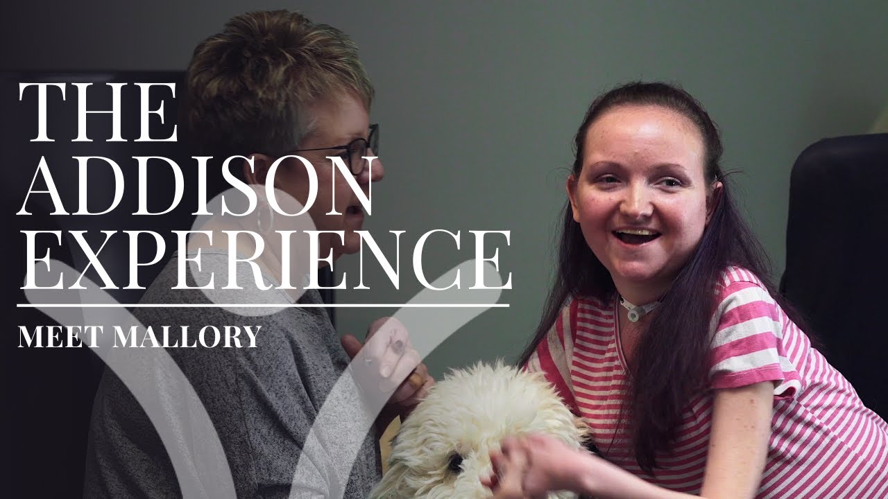 The Addison Experience: Mallory