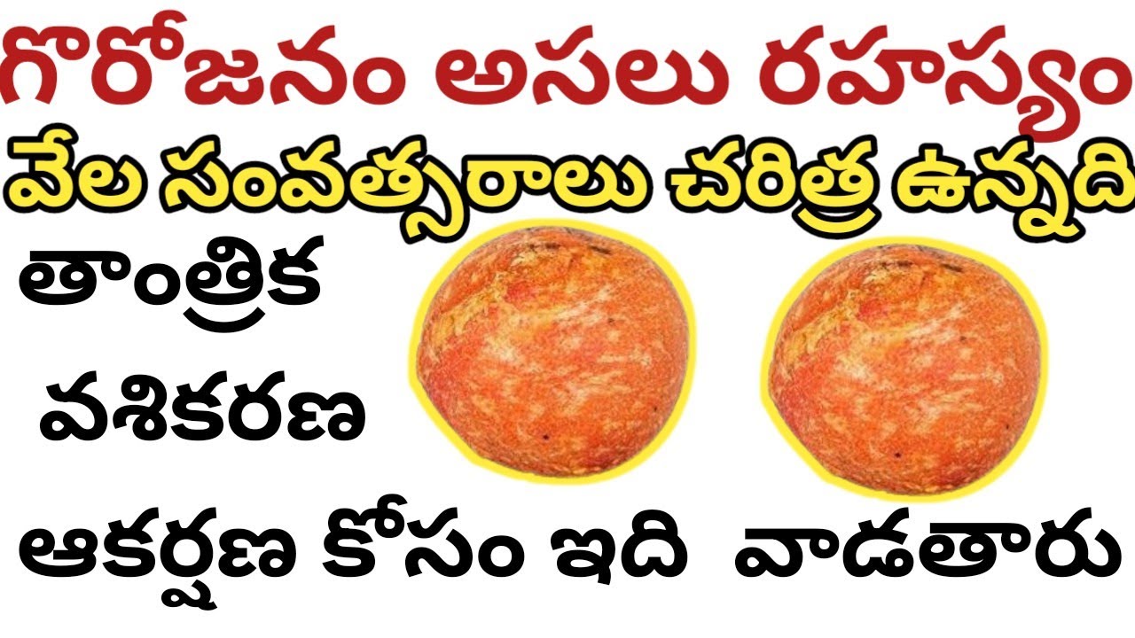 గోరోజనం అంటే ఏమిటి | అసలు రహస్యం ఇదే | తాంత్రిక వశికరణ ఆకర్షణ కోసం దీనిని వాడతారు
