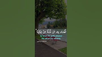 سورة الشورى #quran #اكسبلور #chiker