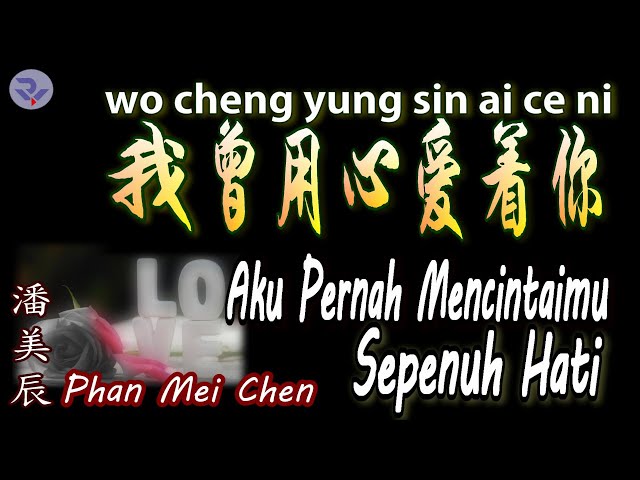 💖【好歌重现】Wo Cheng Yung Sin Ai Ce Ni / Phan Mei Chen -  我曾用心爱着你 （潘美辰） class=