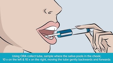Saliva collection instruction