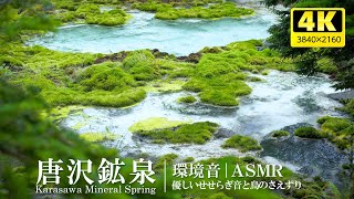 [Environmental sound] Mysterious source pond/healing (gentle murmuring and bird voices)