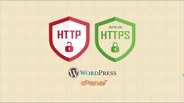 Hướng dẫn cài đặt SSL miễn phí trên cPanel giao thức HTTPS - IMTA WordPress