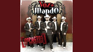Video thumbnail of "Voz De Mando - El Ranchero Al Que Apodan "El Mayo""