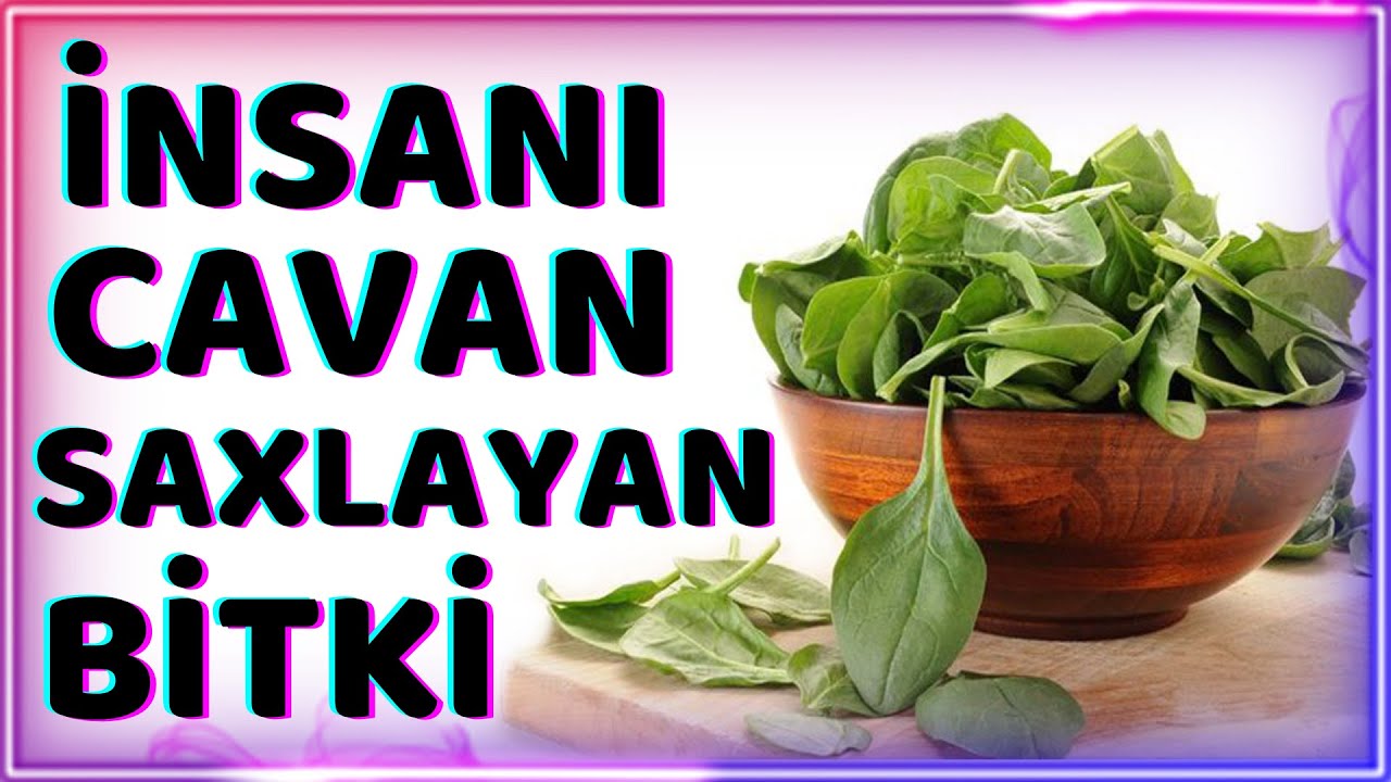 Göyərtilərin şahı İspanağın müalicəvi faydaları və zərərləri