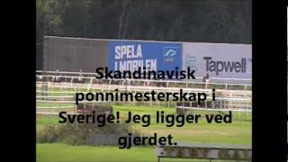 Ponnigalopp Sesongen 2011
