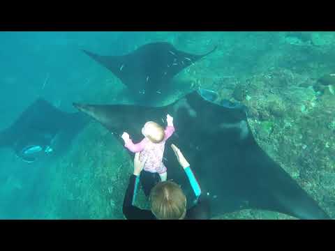 Ныряем в глубину с рождения. Дети, манты, океан.