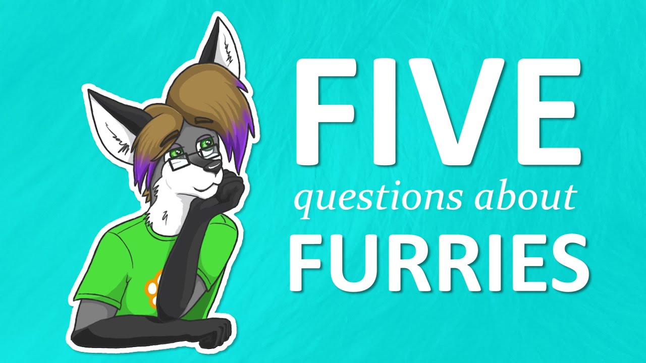 Five Questions About Furries Youtube