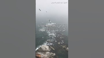 سورة مريم للشيخ: عبد الرحمن السديس