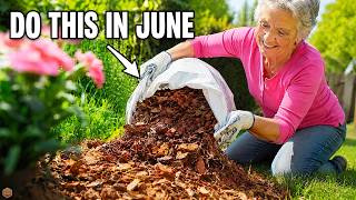 25 Garden Tasks You MUST Do in June to Double Your Harvest