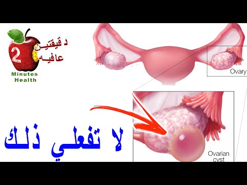 فيديو: 7 أسبوع من الحمل: ماذا يحدث للأم والطفل