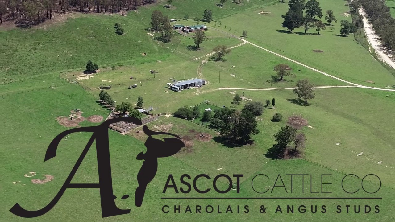 Khancoban - Auction 27 March 2020